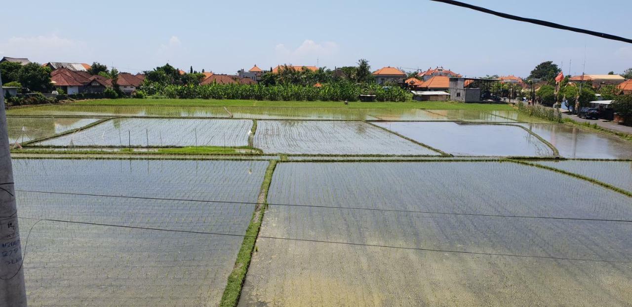 Sun Homestay Canggu Ngoại thất bức ảnh