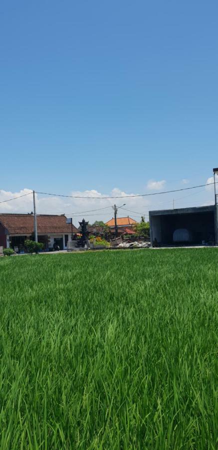 Sun Homestay Canggu Ngoại thất bức ảnh